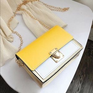 NEW Push Lock Two Tone Chain Bag